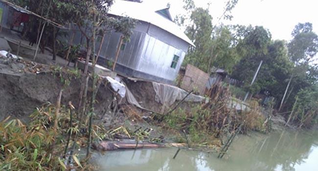 দেওয়ানগঞ্জে নদী ভাঙনে গুলু ঘাট গ্রাম বিলীন হবার পথে