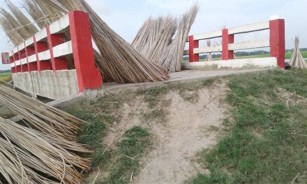 বালিয়াকান্দিতে সড়ক ছাড়াই খালে ব্রিজ! কাজে আসছে না জনগণের