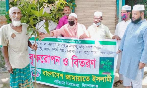 কটিয়াদীতে জামায়াতের বৃক্ষরোপণ কর্মসূচি