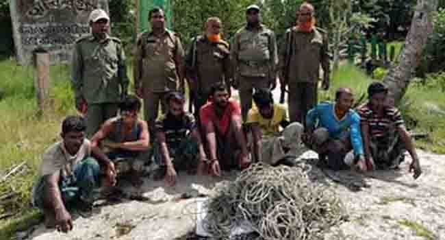 সুন্দরবনে হরিণ ধরা ফাঁদ, ট্রলারসহ ৭ শিকারী আটক