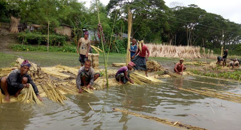 সোনালি আঁশ নিয়ে ব্যস্ত সময় পার করছেন চাষীরা