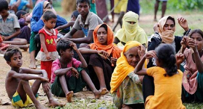 রোহিঙ্গা সহায়তায় পরামর্শক পিছু ব্যয় সোয়া কোটি টাকা!