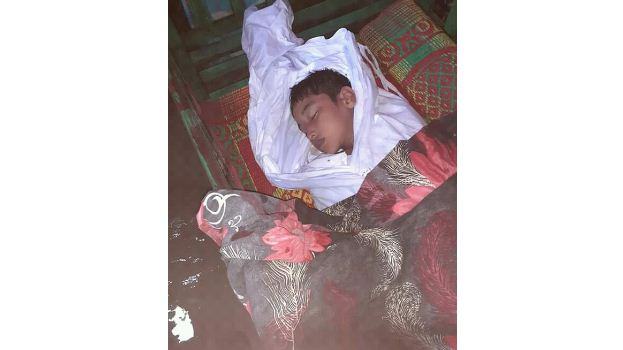 নানা বাড়ি যাওয়ার পথে পানিতে ডুবে ভাই-বোনের মৃত্যু