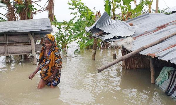 পানি বৃদ্ধির কারণে মুলাদীতে বিপর্যস্ত জনজীবন