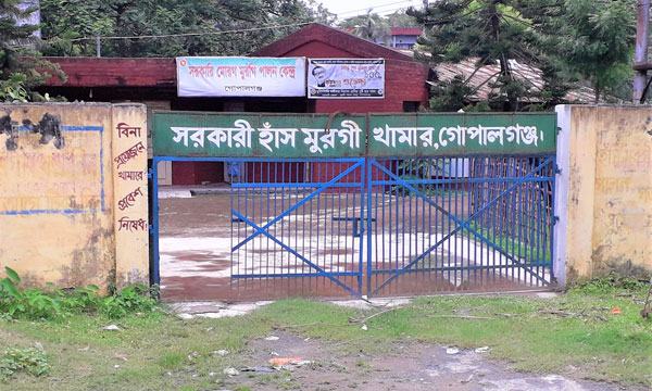 গোপালগঞ্জ সরকারি হাঁস-মুরগি পালন কেন্দ্রে অনিয়মের অভিযোগ