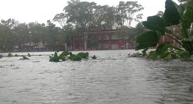 বরিশাল বিবির পুকুরের মাছ মরে ভেসে উঠছে