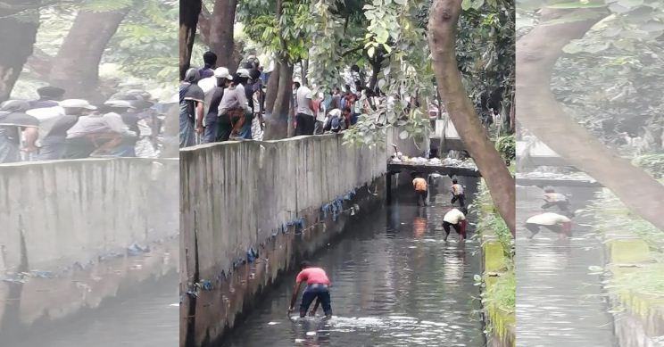 রাজশাহীতে ড্রেনে ভাসছিল ১০০০ ও ৫০০ টাকার নোট!