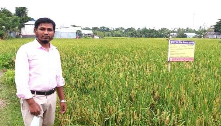 আউশের বাম্পার ফলনে কৃষকের মুখে হাসি