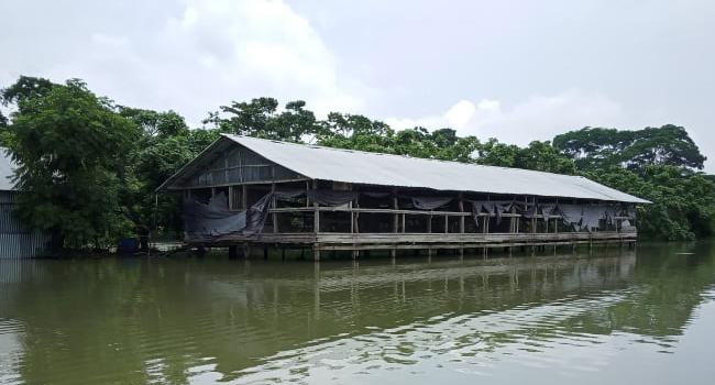 ঝালকাঠিতে দুই শতাধিক মাছের ঘের ও সহস্রাধিক পুকুর তলিয়ে গেছে