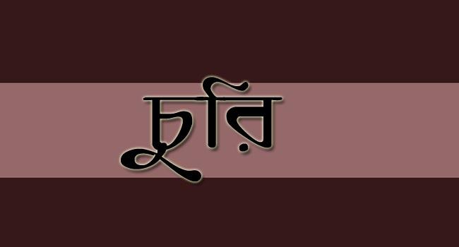 আড়াইহাজারে পিকআপ চুরি