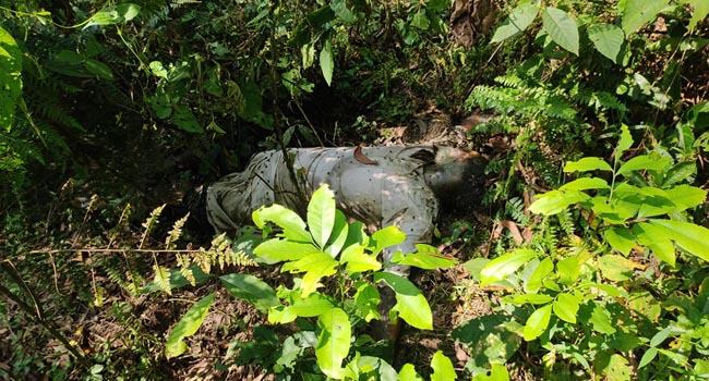 নালিতাবাড়ীতে ৭০ বছরের বৃদ্ধের অর্ধগলিত লাশ উদ্ধার