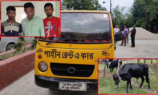 হোসেনপুরে পিকআপসহ ৩ গরু চোর গ্রেফতার