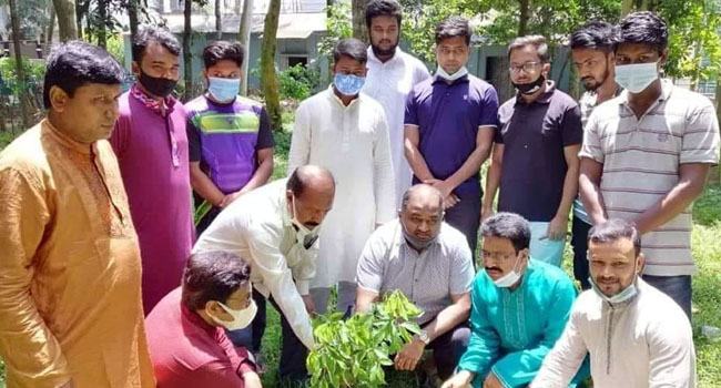 বগুড়ায় আওয়ামীলীগের বৃক্ষরোপন কর্মসূচী পালন