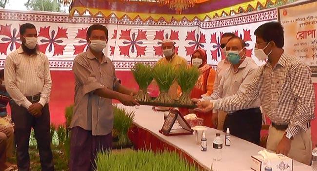 দেশে বন্যায় ক্ষতি হয়েছে ১৩৩৭ কোটি টাকার ফসল : বিএডিসি মহাপরিচালক