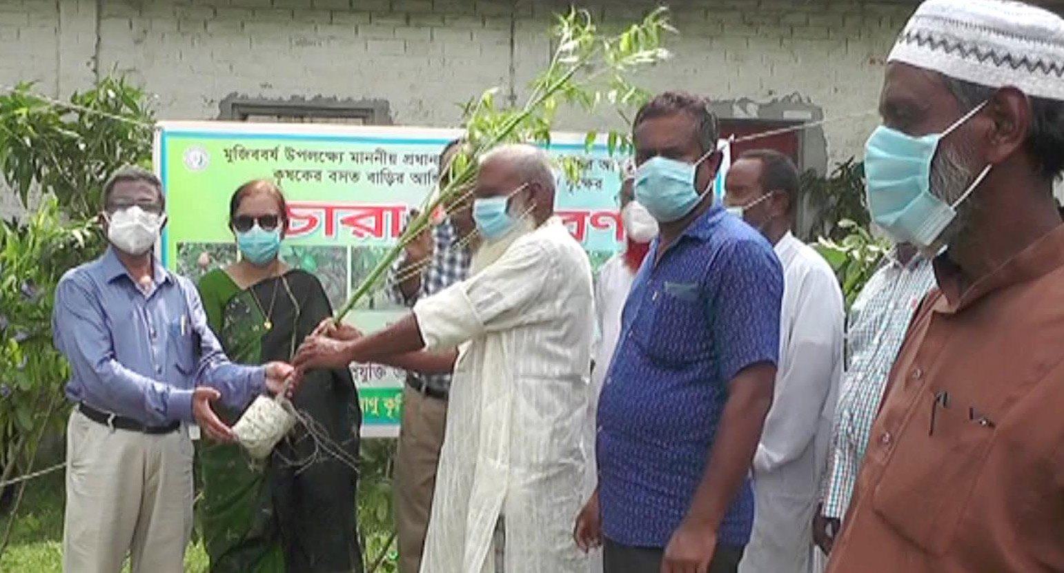 ব্রি-১১ পানি সহিষ্ণু হওয়ায় বন্যায় আমনের ক্ষতি কম হয়েছে : বিনা মহাপরিচালক