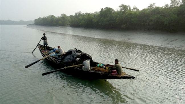 সুন্দরবনে ২ মাসের নিষেধাজ্ঞার পর মাছ ধরা শুরু