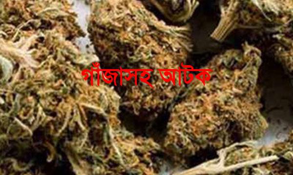 ভূরুঙ্গামারীতে ৫ কেজি গাঁজাসহ আটক ১