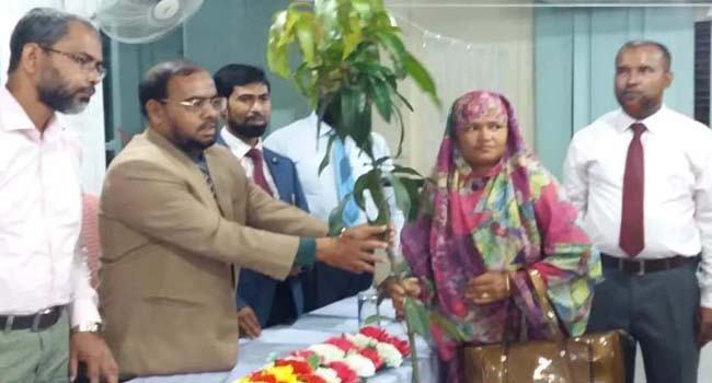 ইসলামী ব্যাংক মহাস্থানগড় শাখায় নারী সদস্যদের মাঝে গাছের চারা বিতরণ