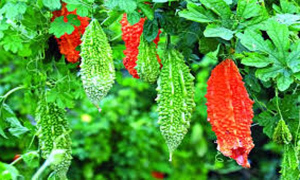 কাঁচামরিচের সাথে বেড়েছে পেয়াজের ঝাঁজ