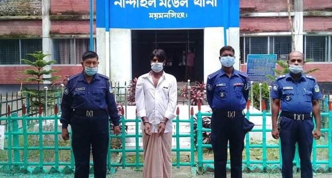 নান্দাইলে সাজাপ্রাপ্ত আসামি গ্রেফতার