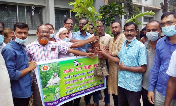 বালিয়াকান্দিতে এমপির উদ্যোগে নেতাকর্মীদের মাঝে গাছের চারা বিতরণ