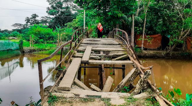 দুমকিতে অর্ধশতাধিক আয়রণ ব্রিজের বেহাল দশা