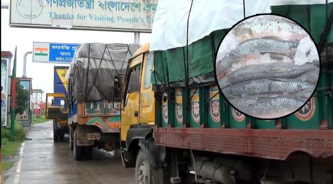 প্রথমদিনে ১২ হাজার কেজি ইলিশ গেল ভারতে