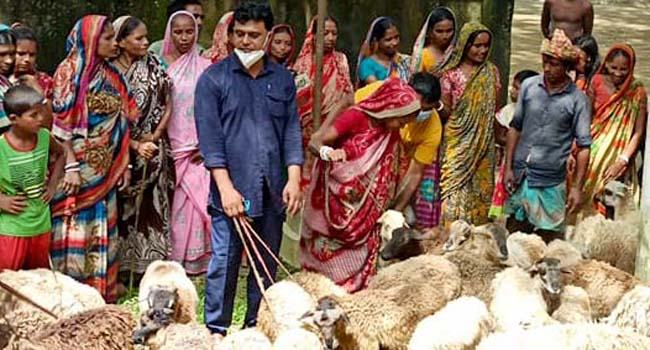 দিরাই ২০৮টি পরিবারে ভেড়া বিতরণ