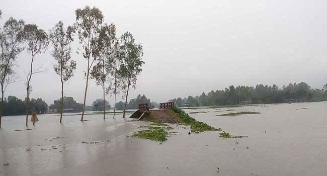 ভূরুঙ্গামারীতে টানা বর্ষণে ১৪টি গ্রাম প্লাবিত, পানিবন্দি কয়েক হাজার মানুষ