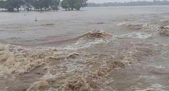 বাড়ছে যমুনার পানি, আশঙ্কা বন্যার