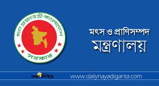 দেশের ভেতর ভ্রমণেই জনপ্রতি ৪ লাখ টাকা!