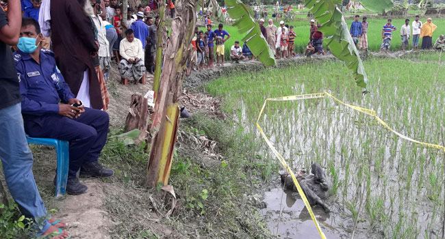 কিশোরগঞ্জে ধানক্ষেত থেকে এক ব্যক্তির লাশ উদ্ধার