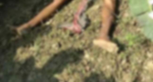পিরোজপুরে যুবকের মাথাবিহীন নগ্ন লাশ উদ্ধার