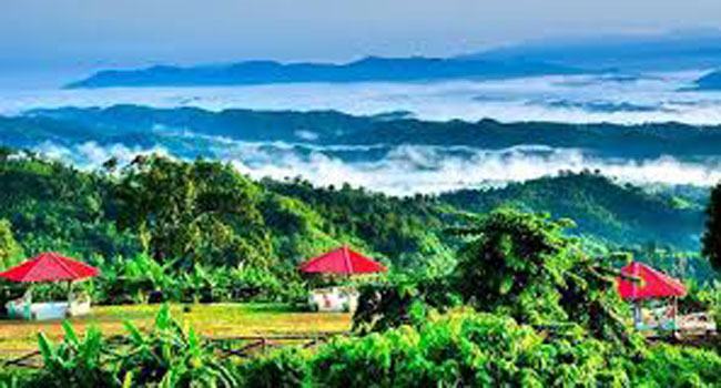 পর্যটন শিল্পে বিপর্যয়