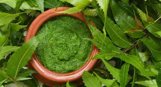 ম্যাজিকের মতো কাজ করে নিমপাতা