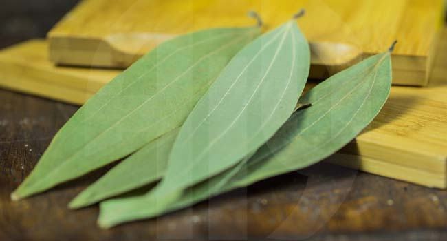 খুশকি থেকে ব্রণ, তেজপাতায় সমাধান