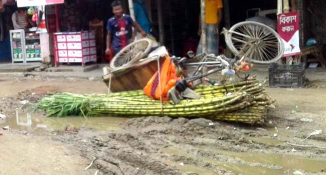 আলীপুর-নাইউরীপাড়া দুই কিলোমিটার রাস্তা এখন মরণ ফাঁদ
