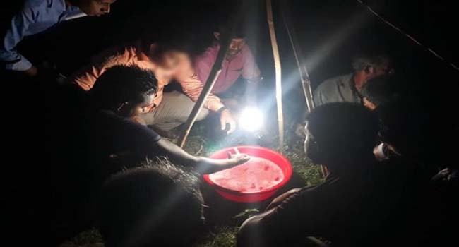 মিঠাপুকুরে ‘আলোকফাঁদ’ ব্যবহারে উৎসাহিত হচ্ছে কৃষকরা