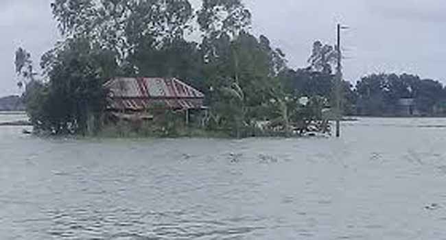 যমুনা নদীর পানি বিপদসীমা উপরে, ফের বন্যার আশঙ্কা