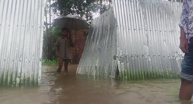 রুহিয়ায় ঘর বাড়ি ও আমন ক্ষেত পানির নীচে