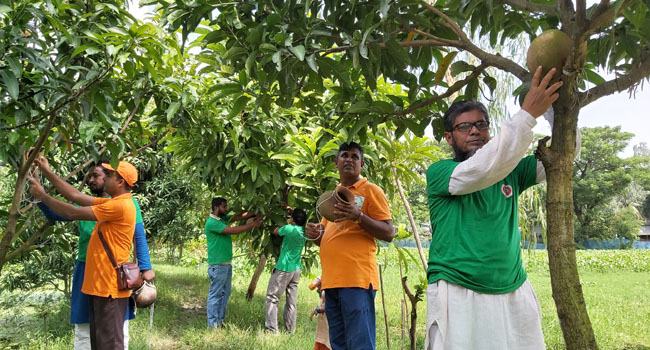 নাটোরে পাখিদের নিরাপদ আবাসস্থল দিচ্ছেন পরিবেশকর্মীরা