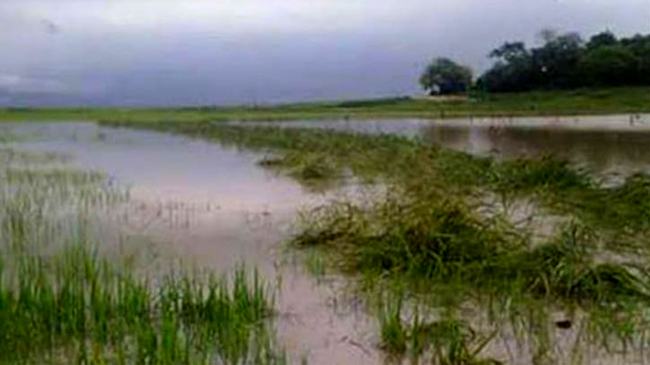 হালুয়াঘাটে অতি বৃষ্টিতে চরম দুর্ভোগ
