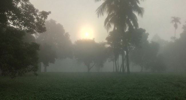কুয়াশা জানান দিচ্ছে শীতের আগমনী বার্তা