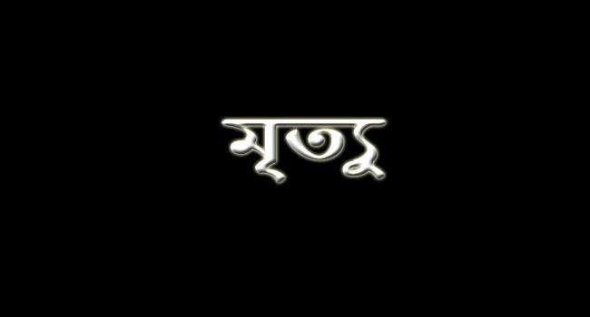 করোনায় টিএমএসএসের নির্বাহী পরিচালক হোসনে আরার মায়ের মৃত্যু