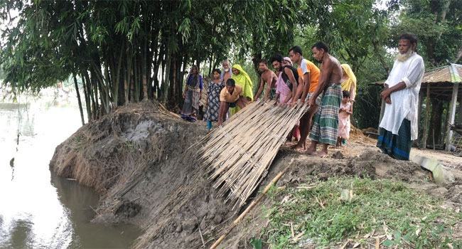 ধুম নদীর ভাঙ্গনে দিশেহারা মানুষ