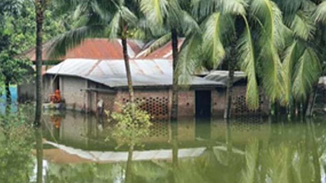 বন্যায় প্লাবিত পুঠিয়ার ১০ গ্রাম,  ভেঙে পড়ছে বাড়ি ঘর