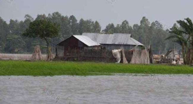 যমুনা ও বাঙ্গালির পানি বিপৎসীমার ওপরে, নিমজ্জিত ফসলের জমি