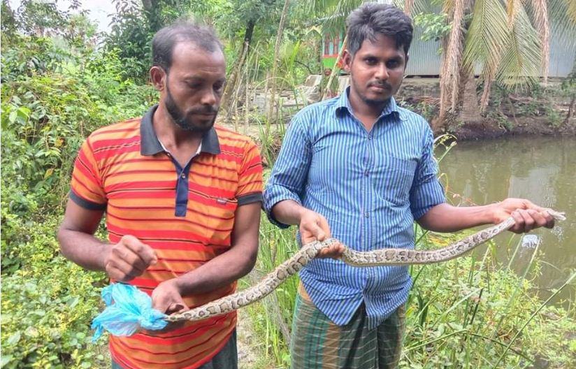 জালে আটকা পড়লো অজগর!