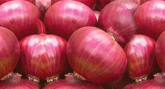 পেঁয়াজের উৎপাদন, চাহিদা ও মজুদের তথ্য আনুমানিক