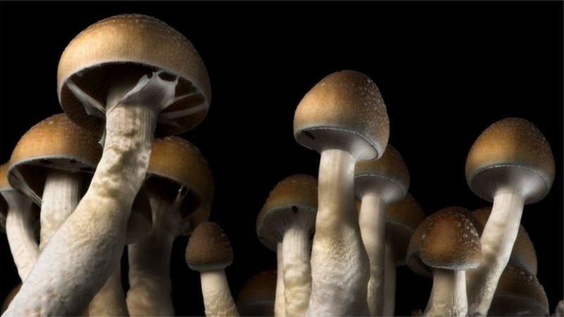 বাংলাদেশে প্রচলিত যেসব খাবার ক্ষতিকর, এমনকি এগুলো খেয়ে মৃত্যুও হতে পারে